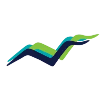 The South Shore Health logo, featuring three gulls