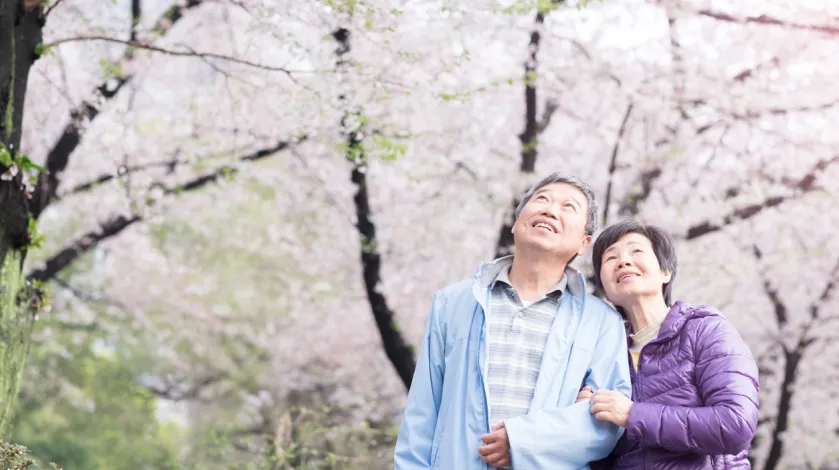 Older Couple on a Walk