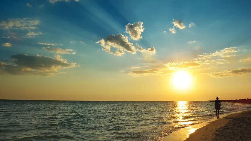 international travel