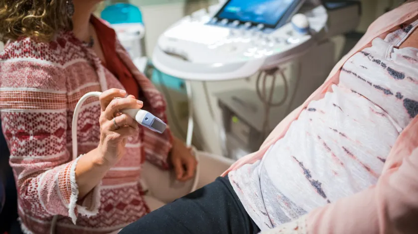 A provider prepares to give an ultrasound to a patient early in her pregnancy.