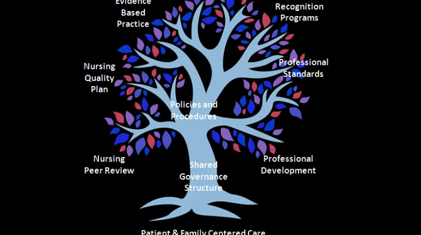 Nursing Professional Practice Model