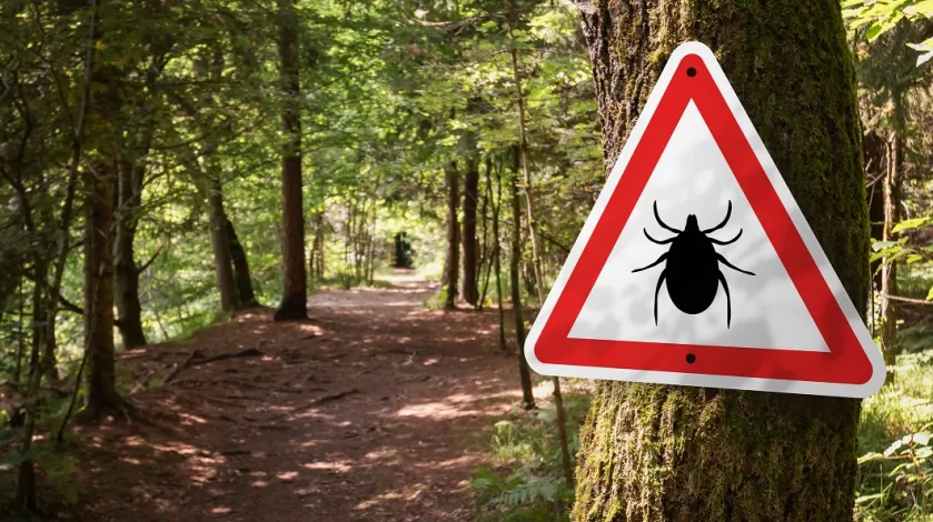 Tick alert sign in a wooded area