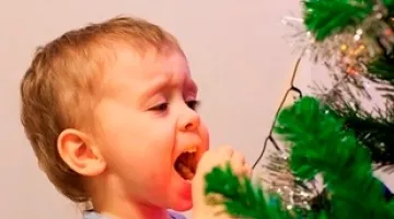 Child putting Christmas tree light in his mouth