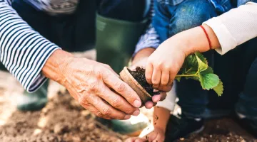 Make a contribution to South Shore Health System in honor of a loved one