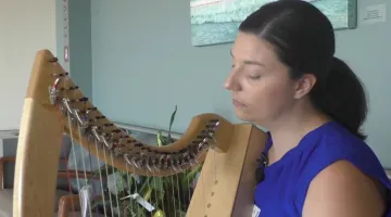 Nicole Anderson, Harpist