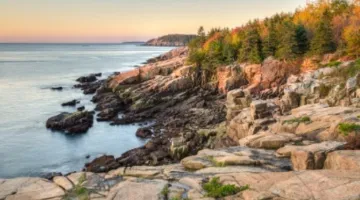 A tranquil coastline scene featuring rocks and trees