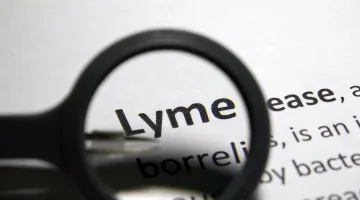 Lyme Disease defined under magnifying glass